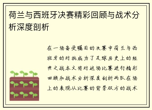 荷兰与西班牙决赛精彩回顾与战术分析深度剖析