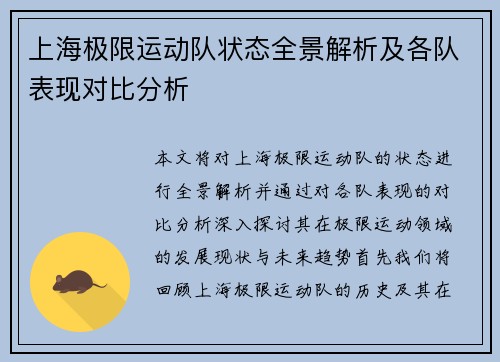 上海极限运动队状态全景解析及各队表现对比分析