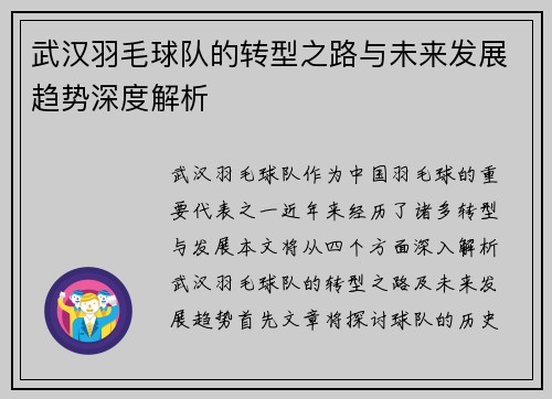 武汉羽毛球队的转型之路与未来发展趋势深度解析