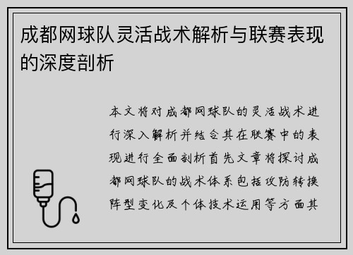 成都网球队灵活战术解析与联赛表现的深度剖析